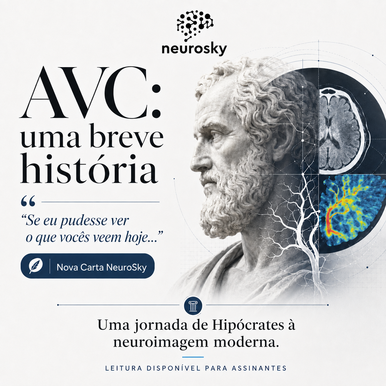 ChatGPT Image 11 de ago. de 2026, 14_55_48.png